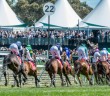 Living Legends Stakes 2014