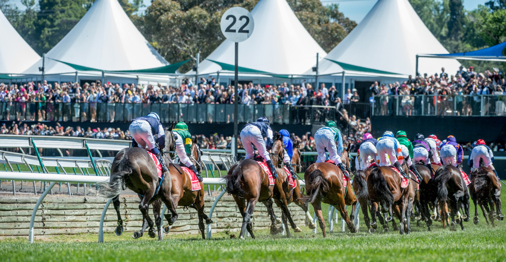 Living Legends Stakes 2014